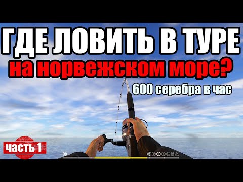 Видео: Первый раз в туре на норвежское море. Путь новичка в рр4 часть 1.