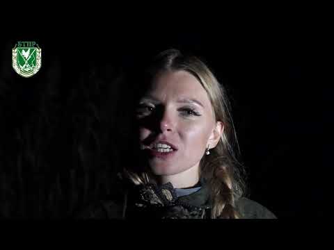 Видео: Охоты на волка в Беларуси