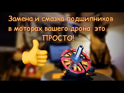 Видео: Ремонт и профилактика моторов дрона.