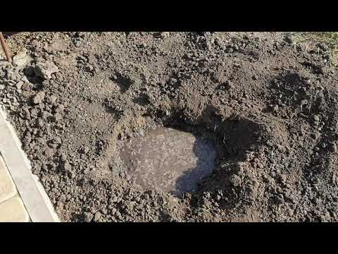 Видео: посадка туи Смарагд пошаговая инструкция.
