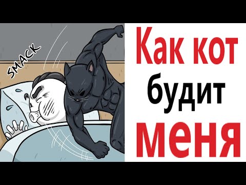 Видео: Приколы! КАК КОТ БУДИТ МЕНЯ – МЕМЫ - АНИМАЦИЯ!!! Смешные видео от Доми шоу!