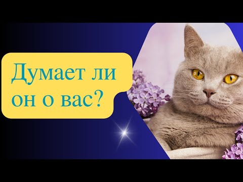 Видео: ДУМАЕТ ЛИ ОН О ВАС?