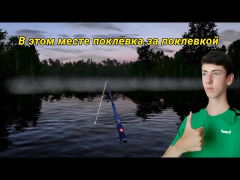 Видео: В ЭТОМ МЕСТЕ ПОКЛЕВКИ ЗА ПОКЛЕВКОЙ! ТУТ ТЫ ТОЧНО БЕЗ РЫБЫ НЕ УЙДЕШЬ)! (Russian Fisching 4)