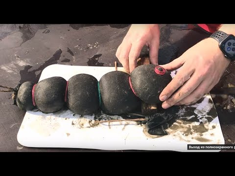 Видео: Идеи для сада: гусеница из цемента!