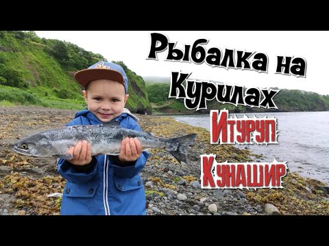 Видео: Рыбалка на Курилах. Курильские острова Итуруп и Кунашир.