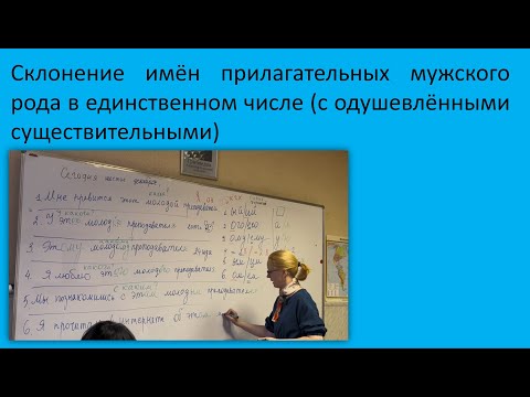Видео: 3. Склонение имён прилагательных (с одушевленными существительными). РКИ, уровень А2