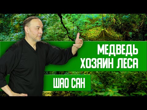 Видео: Мощь, сила и спокойствие | Шао Сан