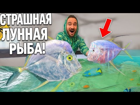 Видео: Ловля ДИКОЙ РЫБЫ под ЖУТКИМ МОСТОМ для моего СОЛЕНОГО ПРУДА!