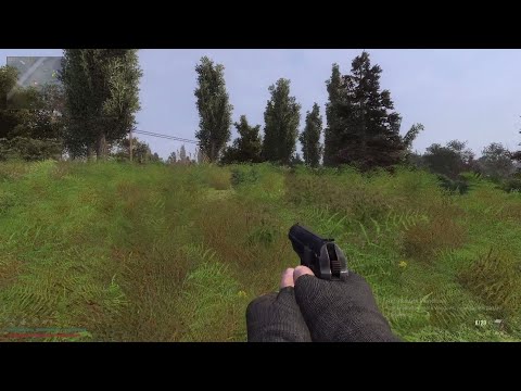 Видео: Коротко о  DLS