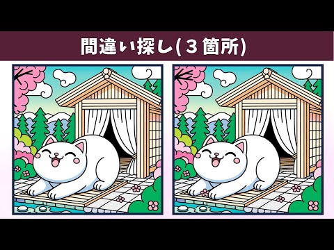 Видео: Найдите 3 отличия | Иллюстрация Версия #1337