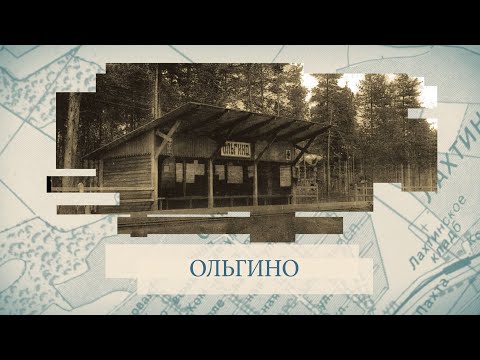 Видео: Ольгино / «Малые родины большого Петербурга»