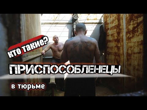 Видео: ПРИСПОСОБЛЕНЦЫ
