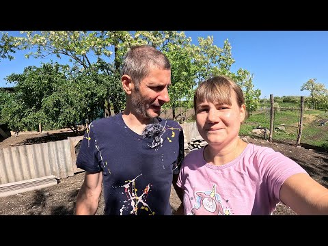 Видео: Лопата не втыкается, а мы копаем