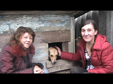 Видео: С  ПОДРУГОЙ  СТАВИМ  БУДКУ  ДЛЯ  СОБАКИ