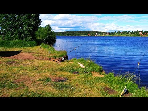 Видео: Рыбалка На Волге с Ночёвкой. Ловля на За кидушки. Ловля сома. Отдых на природе.