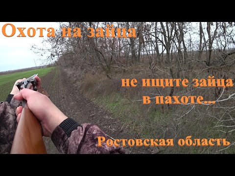 Видео: Охота на зайца...не ищите зайца в пахоте...Ростовская область