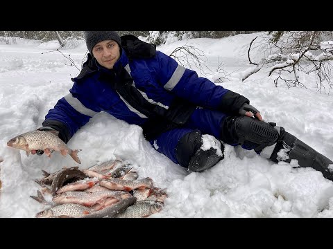 Видео: СОРОГА НЕ ДАЁТ СКУЧАТЬ. РЫБАЛКА В ТАЕЖНОЙ ГЛУШИ. ЗИМНЯЯ РЫБАЛКА 2021.