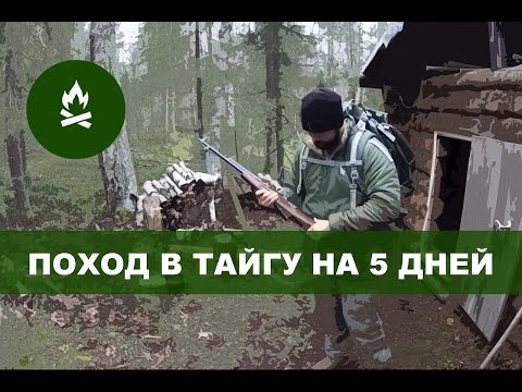 Видео: Поход в тайгу на 5 дней (таежный быт, осень, охота, снег) / Adventure 5 days in Russian north Komi