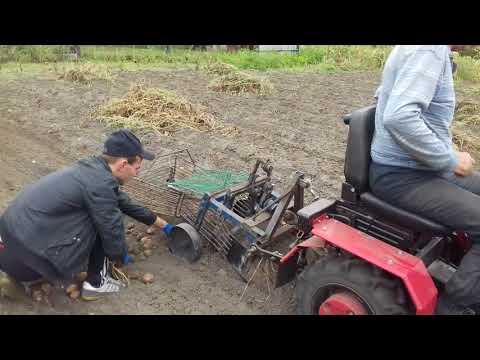 Видео: МТЗ 132Н копаем картофель