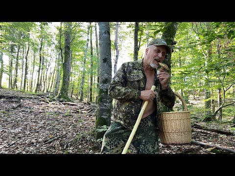 Видео: ГОРНЫЕ БОРОВИКИ И МОРЕ ! КРАСОТА ! Грибы 2025  !