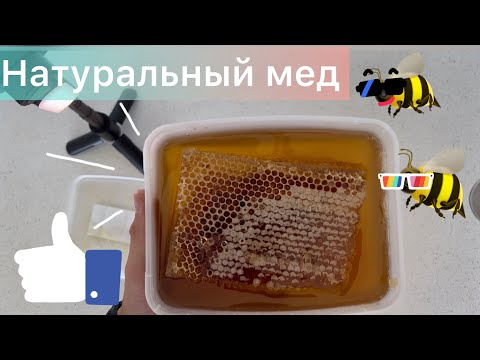 Видео: Фермерский Мёд в Израиле город Ашдод! #ашдод #израиль #мёд