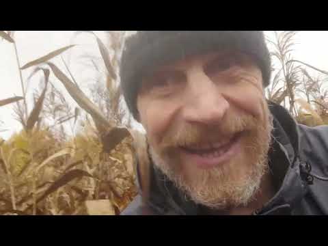 Видео: Красоты Старинковских Просторов