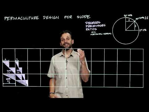Видео: Пермакультурный дизайн для склонов