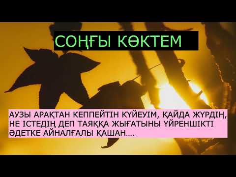 Видео: ӘСЕРЛІ ӘҢГІМЕ.СОҢҒЫ КӨКТЕМ..АУЗЫ АРАҚТАН КЕППЕЙТІН КҮЙЕУІМ, ҚАЙДА ЖҮРДІҢ, НЕ ІСТЕДІҢ ДЕП ТАЯҚҚА ЖЫҒА