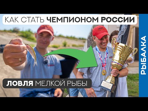 Видео: Ловля мелкой рыбы В ТЕМПЕ. Секреты ЧЕМПИОНА!