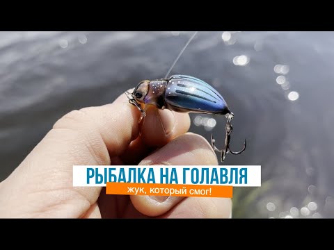 Видео: Ловля голавля весной на малых реках🪰
