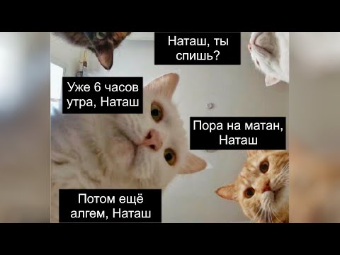 Видео: Зачем изучать высшую математику?