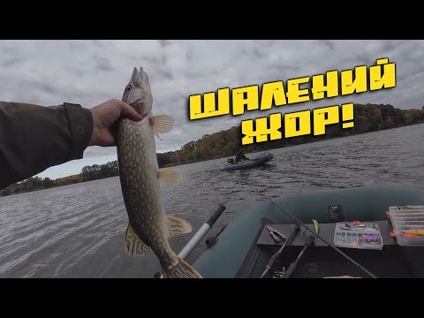 Видео: 💥🎯ПРИМАНКА яка ЗНИЩИЛА ЯПОНСЬКІ ВОБЛЕРИ‼️