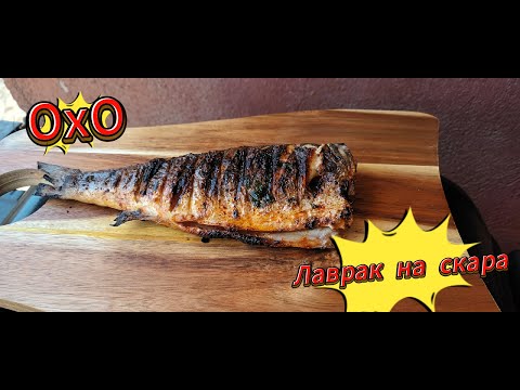 Видео: Лаврак на Скара