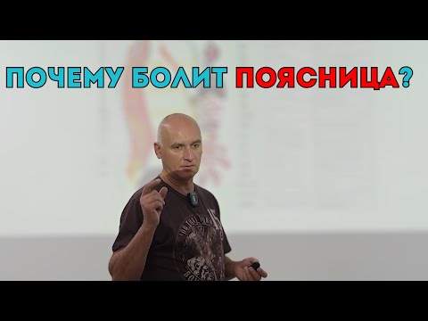 Видео: 💢 Почему болит поясница?