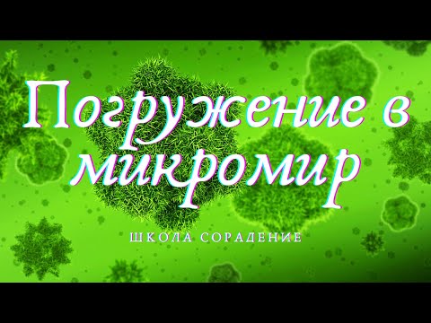 Видео: Работа с клеткой  #Клетка #погужениеВмикромир #Гарат #школаCорадение