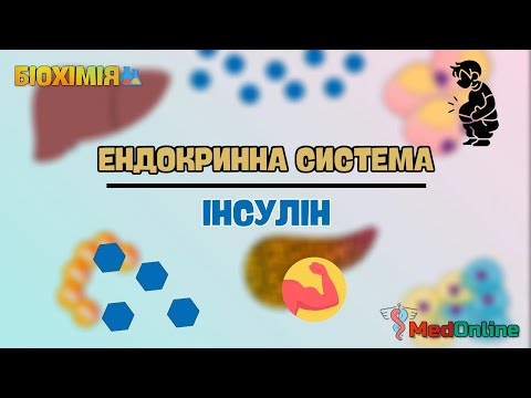 Видео: Біохімія Гормонів | Інсулін