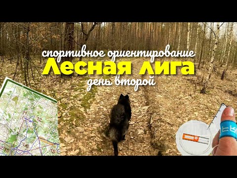 Видео: Ориентирование / Orienteering / Headcam