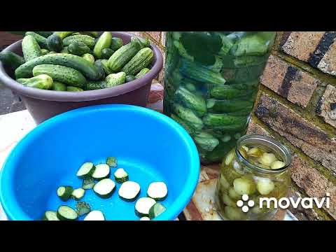 Видео: Огурцы по Фински ! Рецепт проверенный ! Хрустящие вкусные 🥒🥒🥒