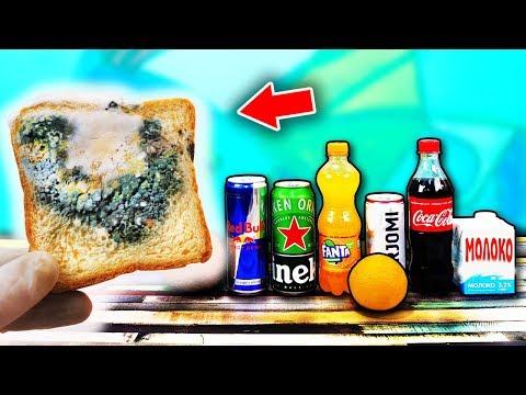 Видео: В какой ЖИДКОСТИ ПЛЕСЕНЬ ПРОРАСТЕТ БЫСТРЕЕ ?!