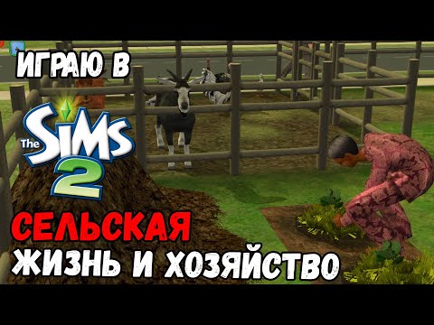 Видео: ИГРАЮ В SIMS 2 | БОЛЬШОЕ ХОЗЯЙСТВО БИЛЛА (ДАСТИНА) И БЕТАНИ | ДЕНЬ РОЖДЕНИЯ | ЗАВЕЛИ КОШКУ