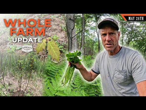 Видео: Обновление Whole Farm — Все проекты Habitat | Dream Farm с Биллом Уинке