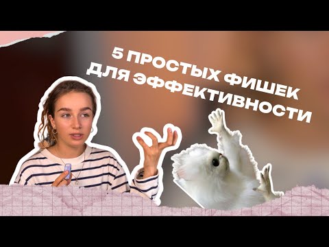 Видео: Как стать эффективным и избавиться от тревожности? 5 простых фишек// мини-подкаст