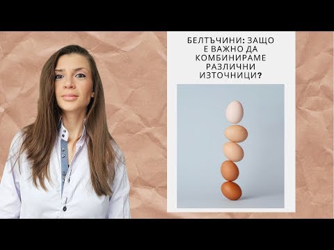 Видео: Белтъчини: защо е важно да комбинираме различни източници? Животински и/или растителни протеини?