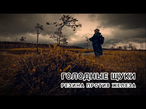 Видео: БОЛЬШИЕ ЩУКИ.С ДНЕМ РЫБАКА.РЫБАЛКА В КАРЕЛИИ.