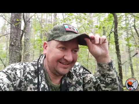 Видео: Рыбка не клюёт.Поехали за грибами!Всем Добра!!!
