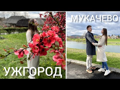 Видео: Ужгород | Мукачево -  Що подивитися? Куди піти? | Замок Паланок | Ужгородський замок Невицький замок