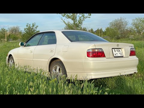 Видео: ЧАЙЗЕР 100 | ЦЕНА ЗА ЖИВОЙ ЭКЗЕМПЛЯР ? Скай на сплиттерах