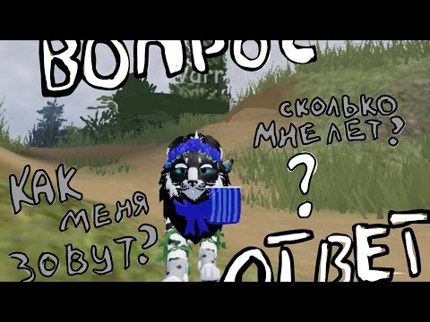 Видео: ВОПРОС ОТВЕТ~. Всё ответы тут!