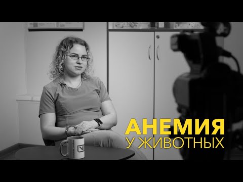 Видео: Анемия у животных