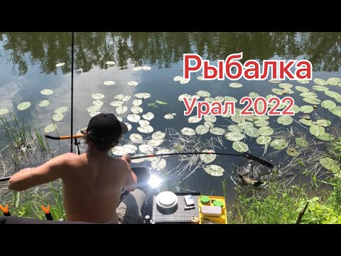 Видео: Рыбалка Урал фидер на Леща